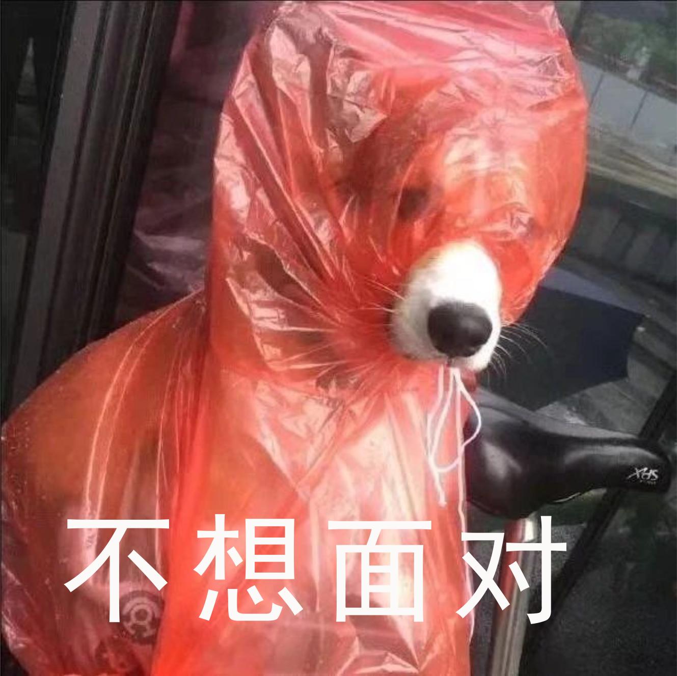 失眠脱发渐渐成了人生常态,为什么有人长期失眠脱发