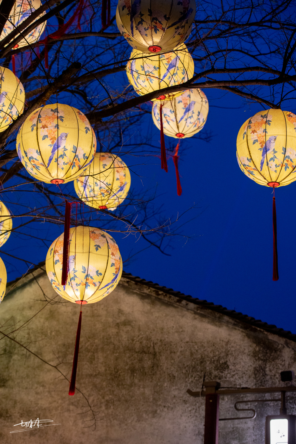 周庄古镇江南水乡美如画,周庄梦里水乡视频