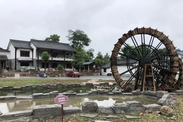 这次疫情，欠江苏人一个大拇指！