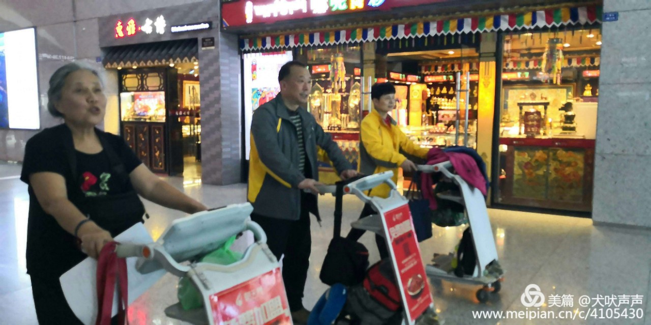 花甲后的新西兰自驾之旅(一)