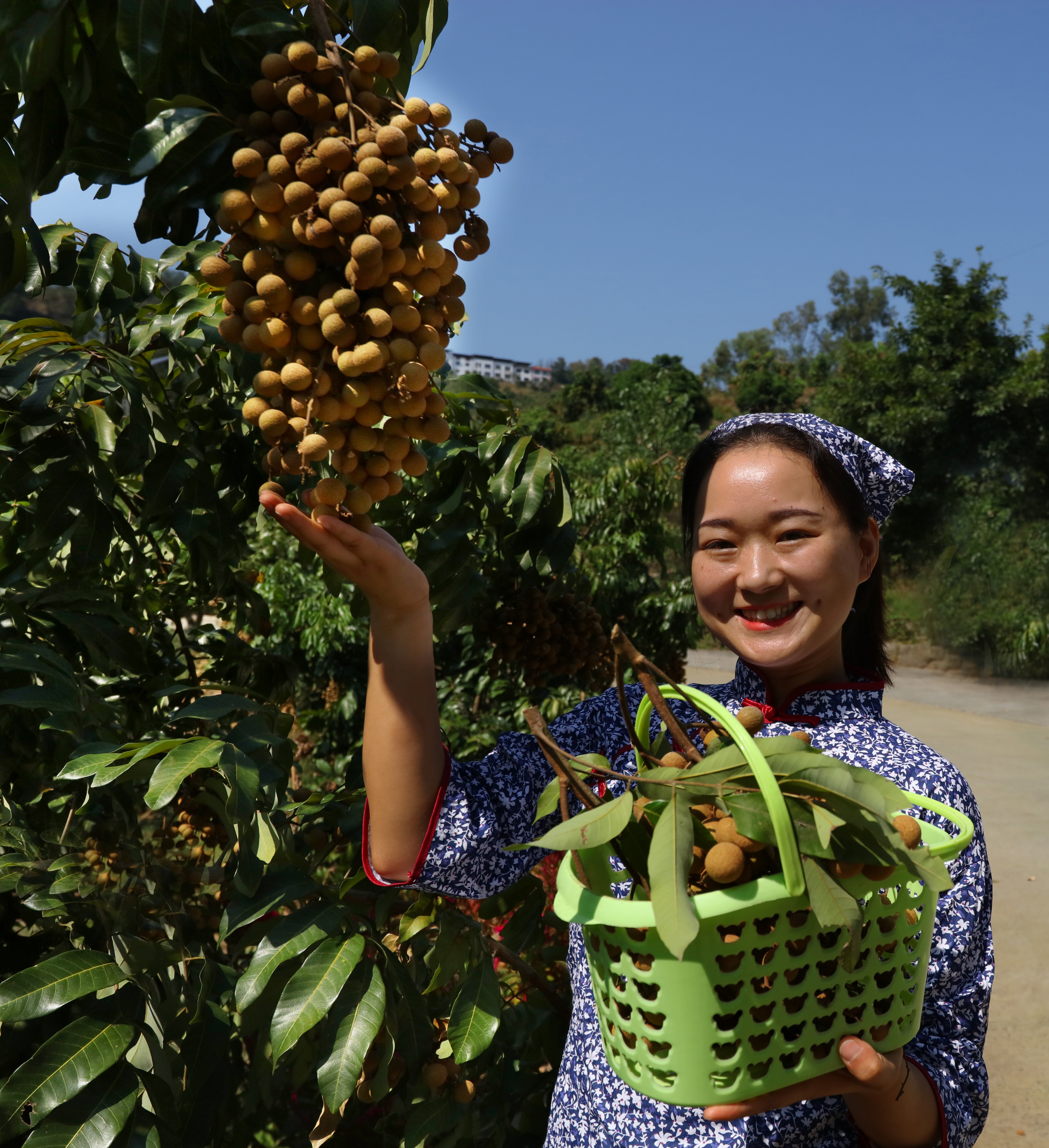 重庆理工大学助力,重庆市大学乡村振兴
