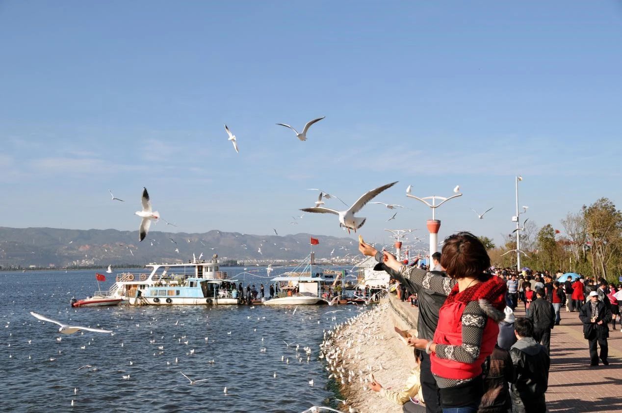 世界水日中国水周的答案,世界水日科普知识要知道