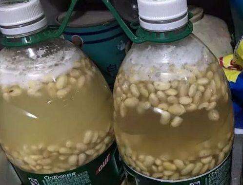 绿萝长不旺给它浇两种水,绿萝怎么养长得旺不黄叶烂根