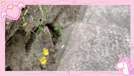 从零开始拍vlog视频教程,简单常用拍vlog的app及剪辑