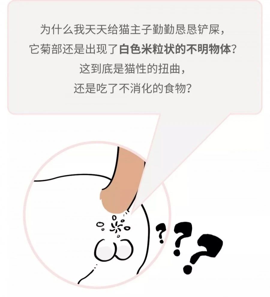 菊部边上长了个肉疙瘩,菊部周边有个白色脓包