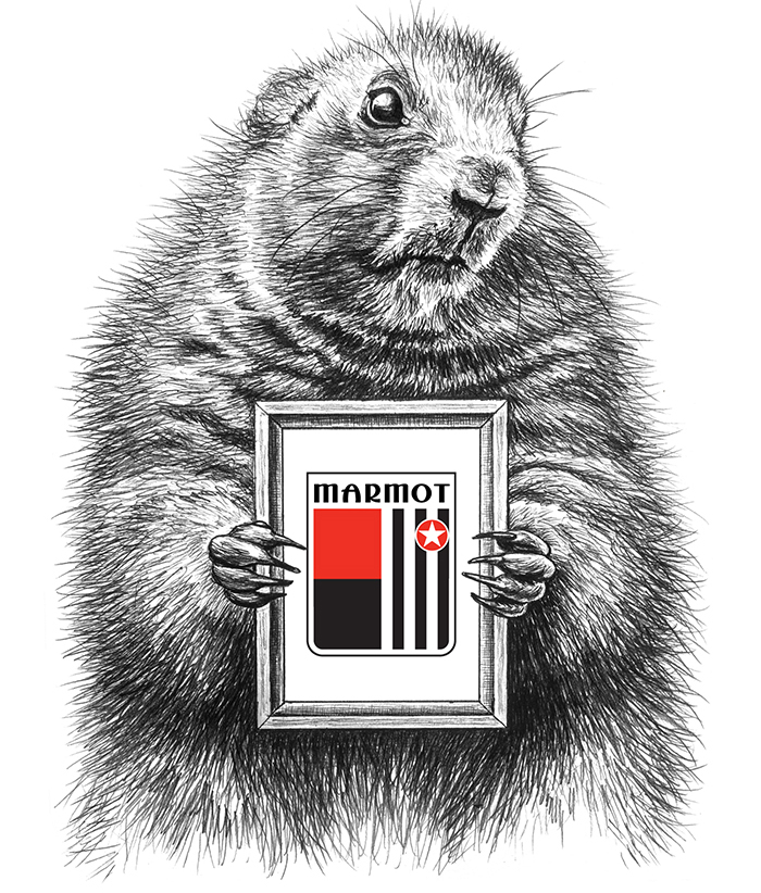 骑行最好的碳纤维自行车,世界十大碳纤维自行车品牌排行榜