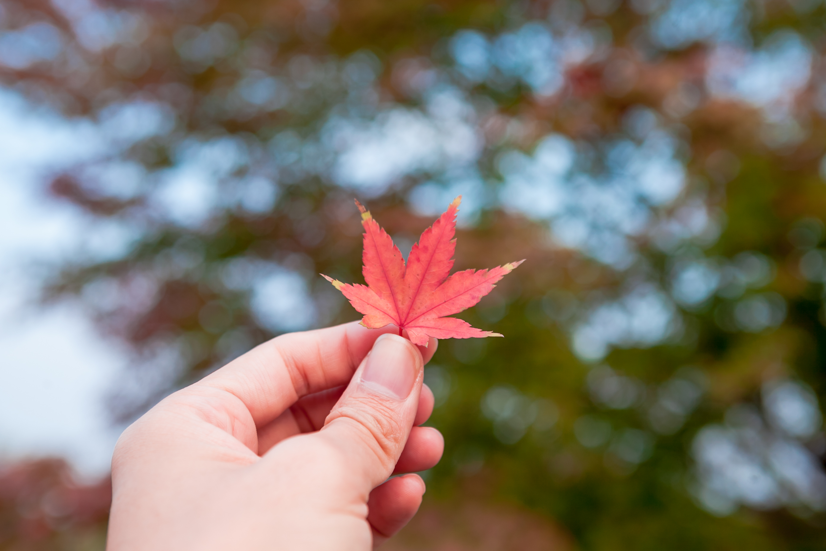 秋天的无锡美的醉人，去无锡旅行，这些好地方不要错过了