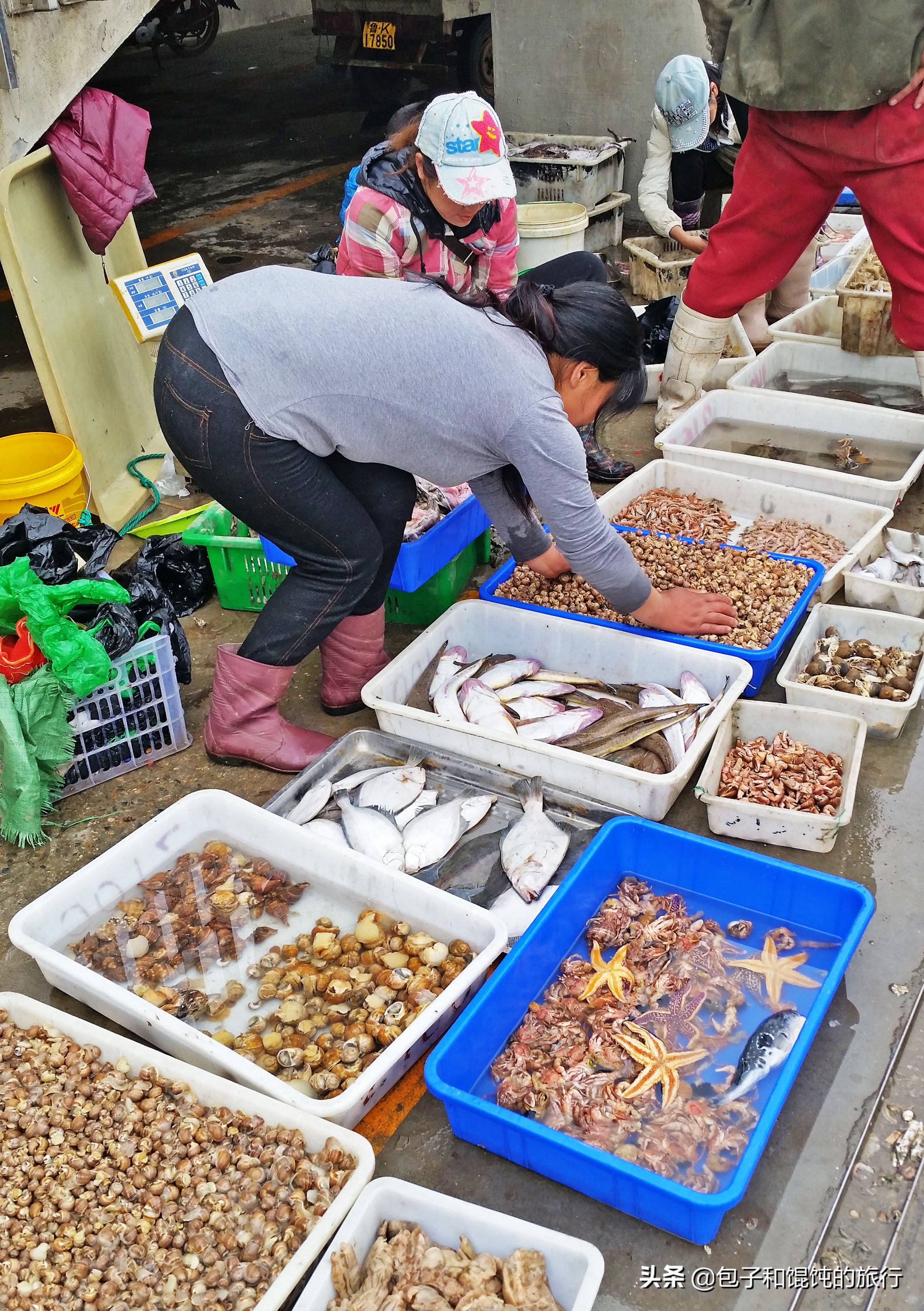 威海必尝的海鲜,威海哪里可以吃到新鲜便宜的海鲜