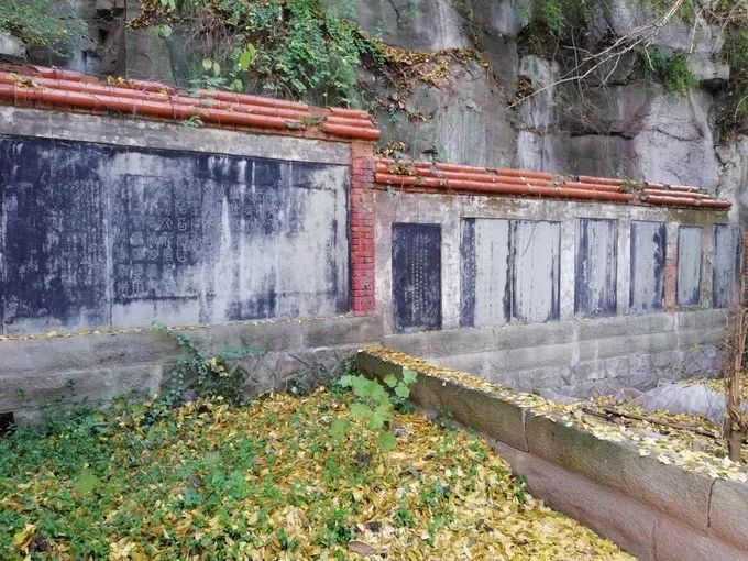 重庆万州旅游全攻略自由行,重庆万州旅游攻略详细