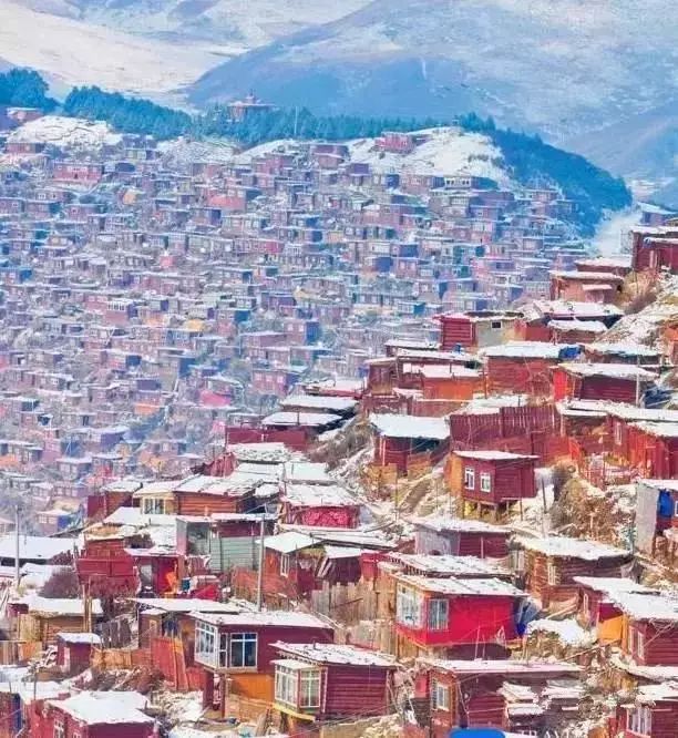 色达下雪了红白交织,色达下雪了图片大全