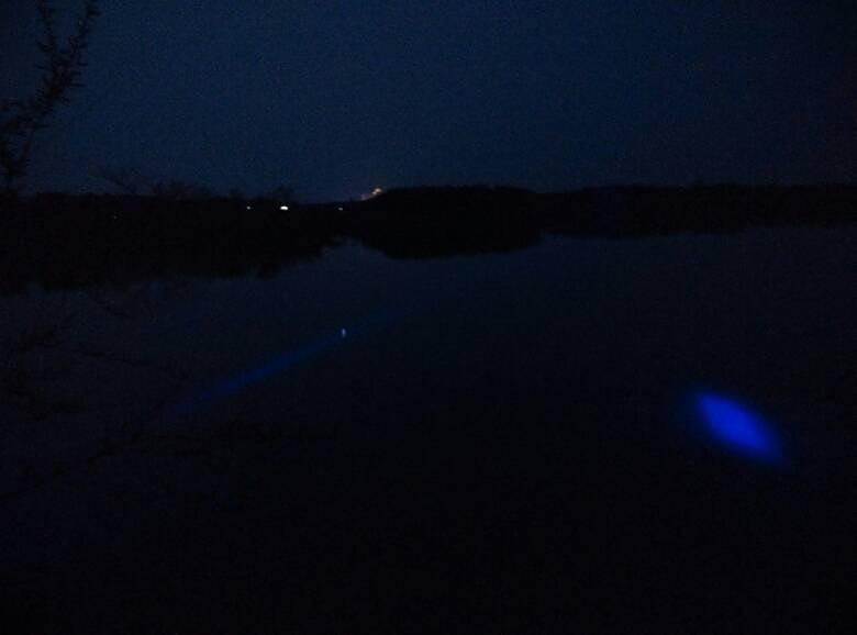 夜钓碰到稀奇古怪的钓鱼人,夜钓守大鱼