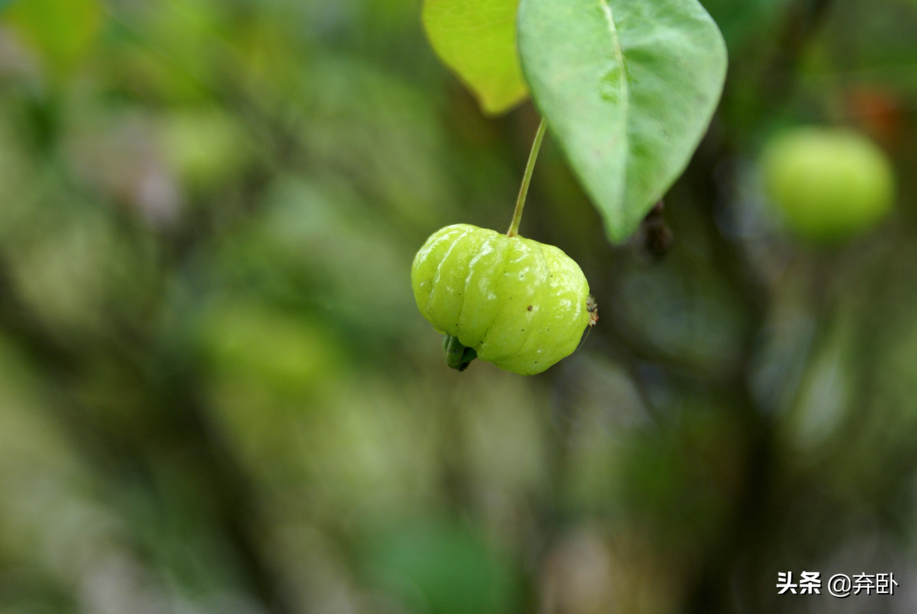 夜读这几点送给迷茫的你,夜读感到迷茫时先做好眼前事