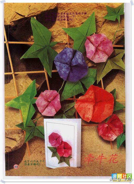 折纸大全方便又漂亮又实用,精致实用的折纸大全步骤