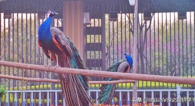 郑州五一近郊游的好地方,不出郑州就能游玩的地方