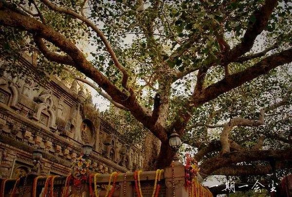 上海10年后的变化,上海10年间的发展