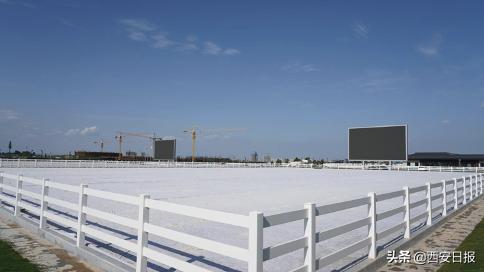 十四运建设地点在陕西哪里,十四运陕西各市体育场馆