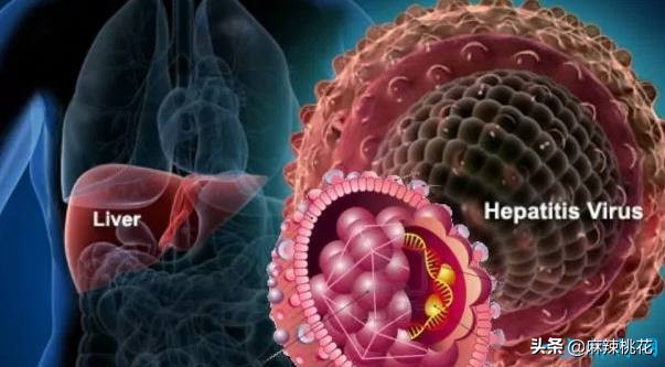 最危险的10种致命病毒,世界最难治病毒