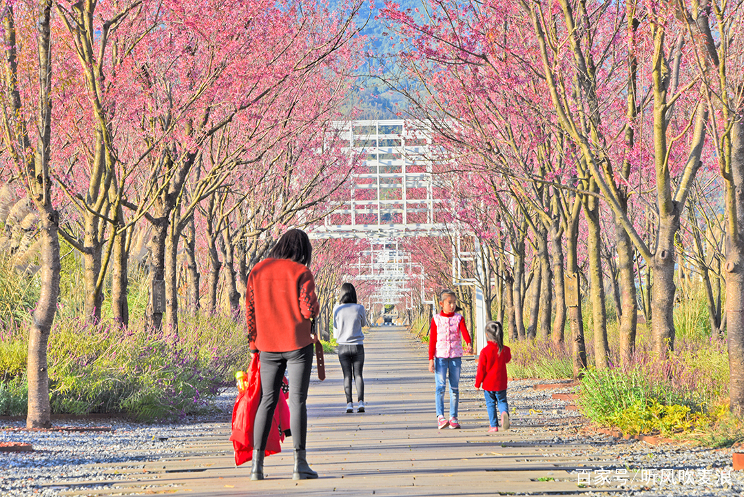 昌宁冬雾,昌宁雪花