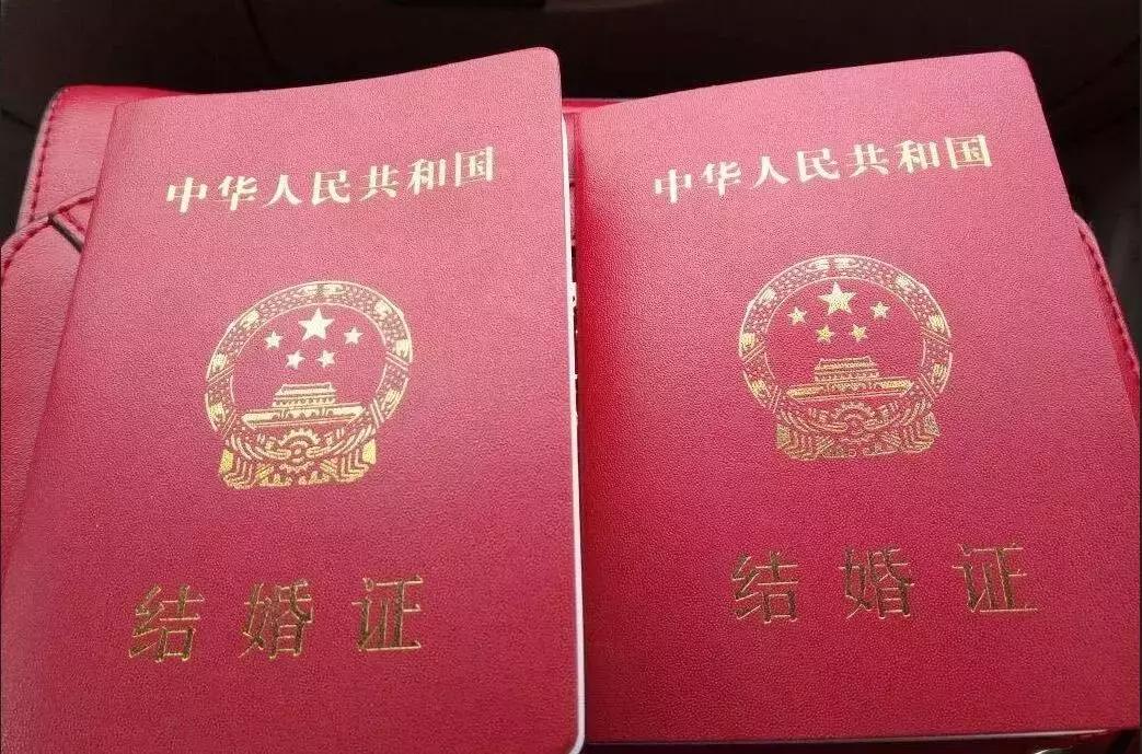 12生肖最有影响力的是什么,12个生肖的天大秘密