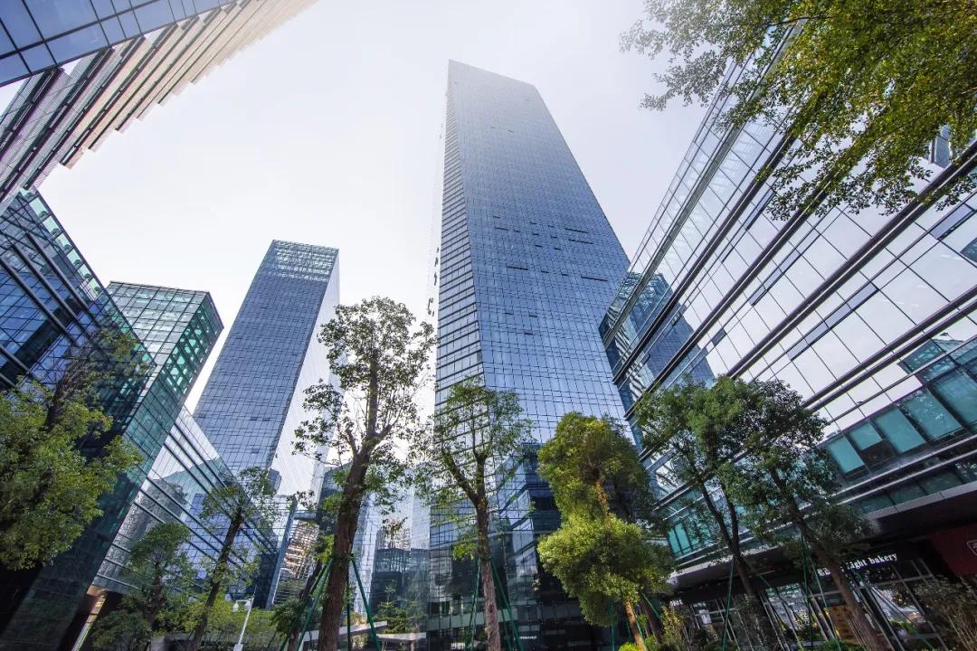 香港中文大学深圳管理学硕士数据,香港中文大学深圳管理学硕士