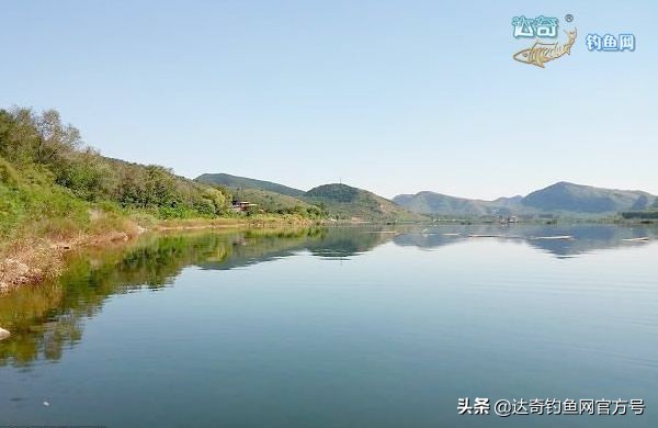 野钓有鱼不开口用什么饵料最好,突然鳑鲏不开口怎么办