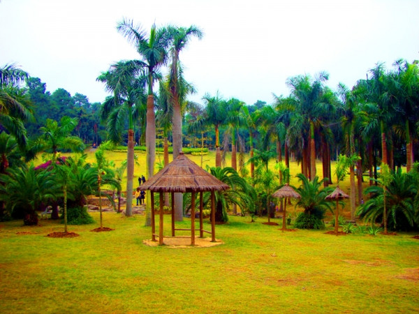 广西南宁旅行介绍,广西南宁西乡塘一日游