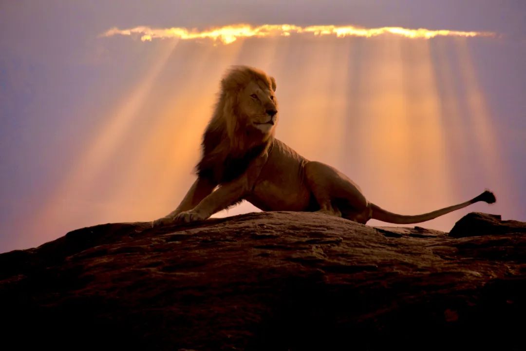 香港第14届全国摄影艺术展,第29届全国摄影艺术展览获奖名单