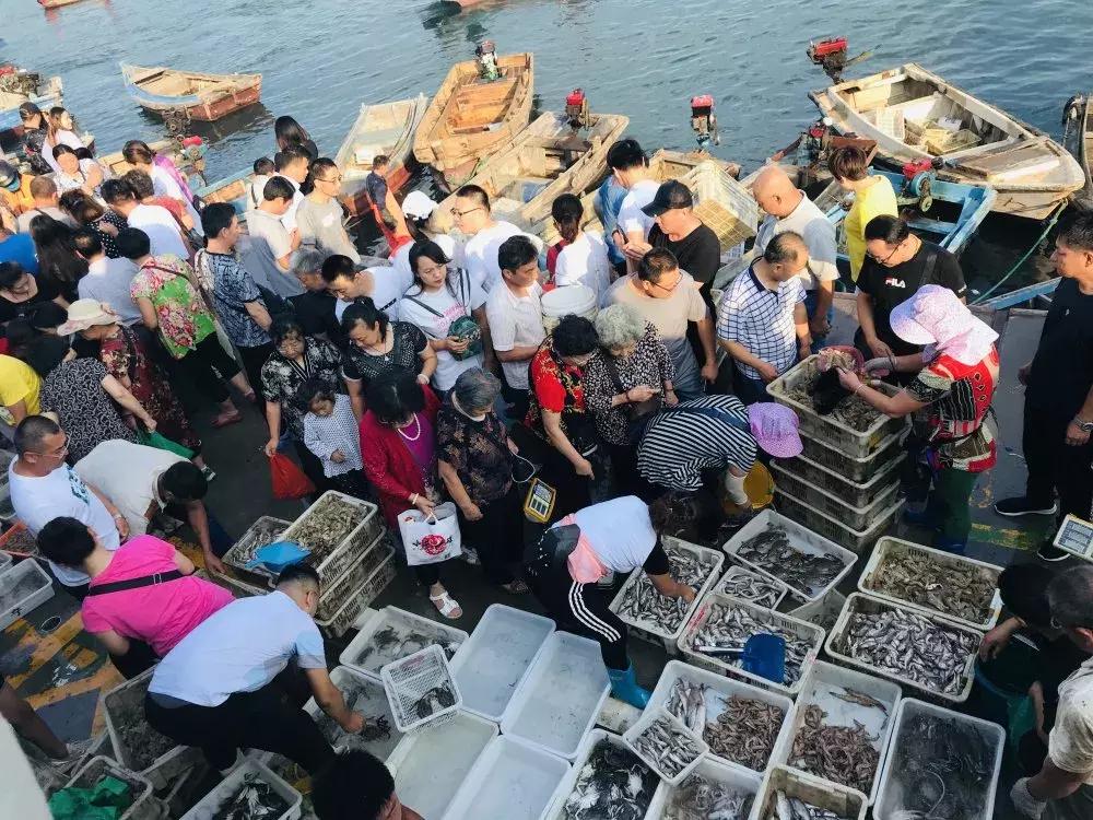 威海海鲜开海期,威海开海海鲜便宜还是贵