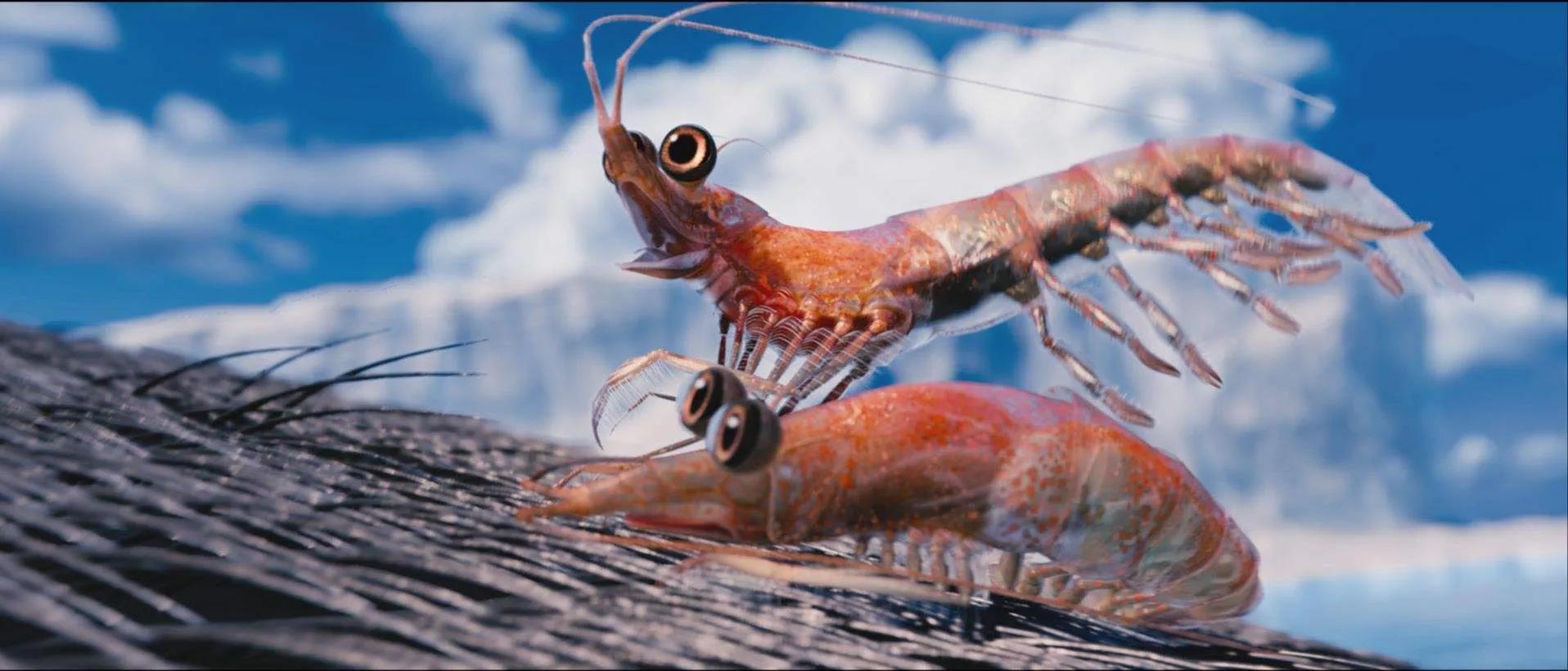 东莞石排一日游最佳去处,东莞石排一日游