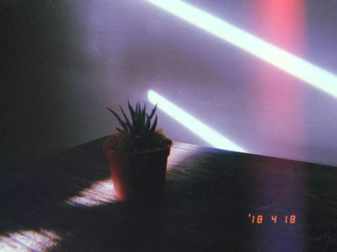 最实用最靠谱的旅行app,10个帮你搞定出境旅行的必备app