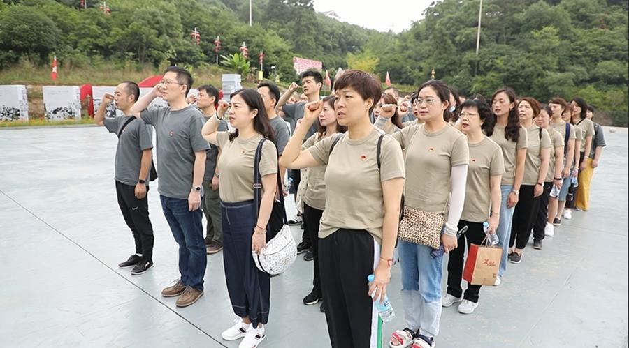 南京主题党日活动,主题党日活动南京