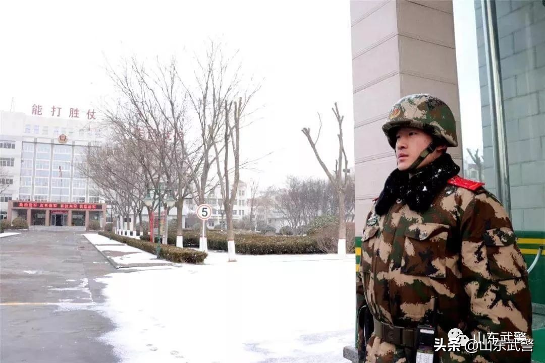 冬眠没完成怎么补救,进入冬眠的最佳方法