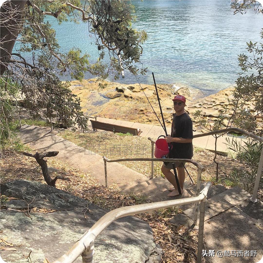 12强赛中国澳大利亚回放,12强赛澳大利亚赛程