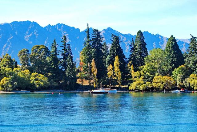 新西兰人买不起房,新西兰中国人买房政策