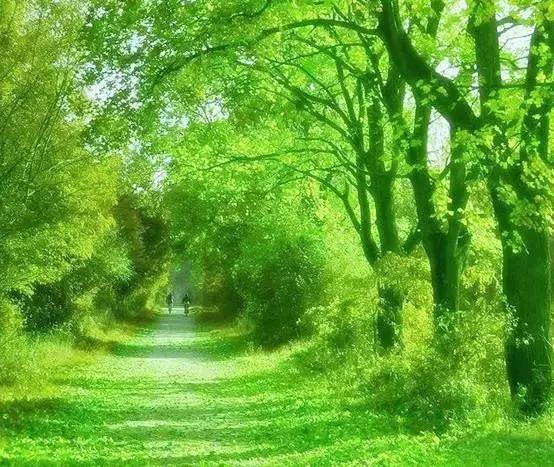 这20首才华横溢的诗你都见过吗,才华横溢的诗句有哪些