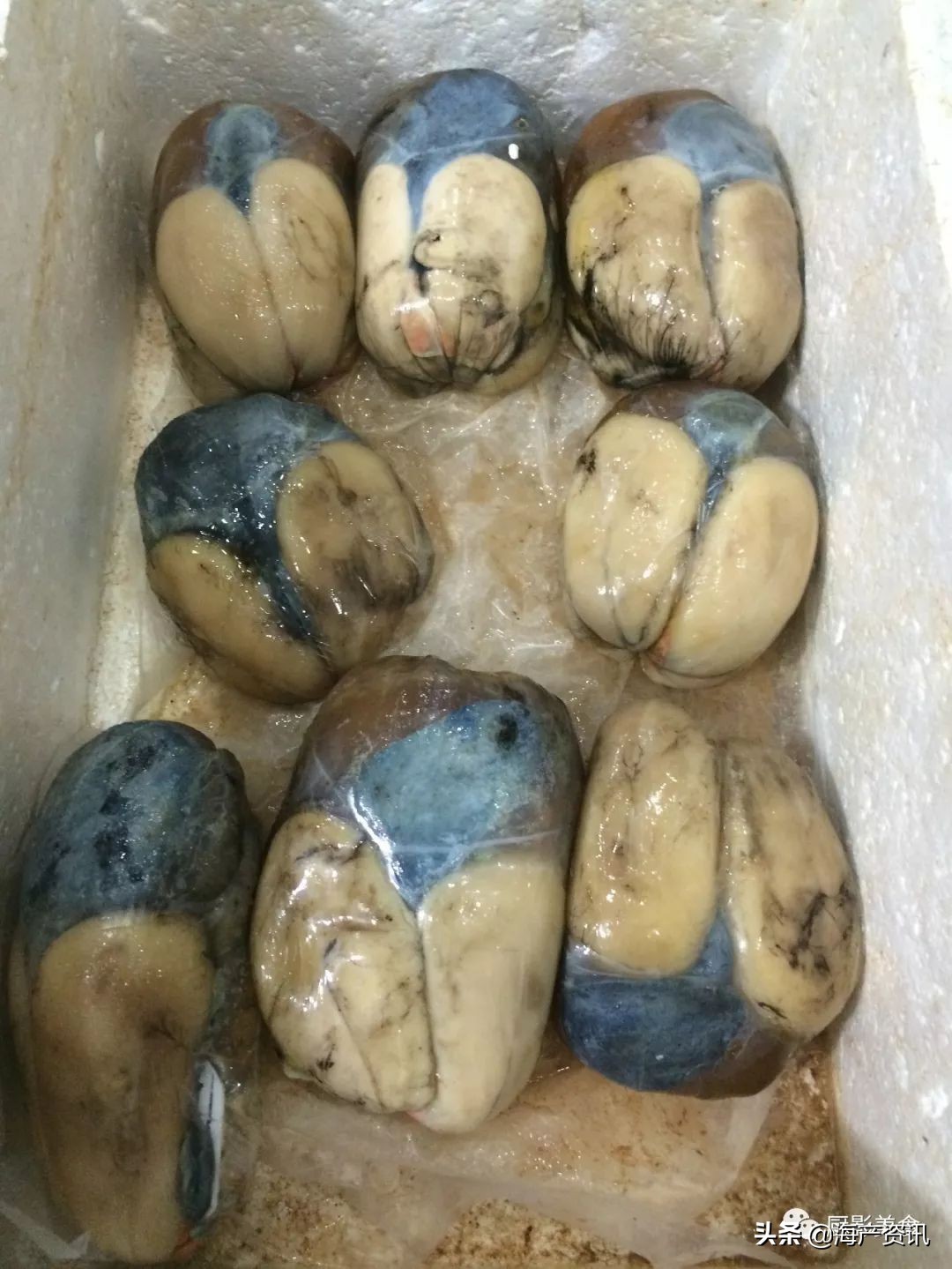 世界公认十大海鲜,全球顶级海鲜食材大赏