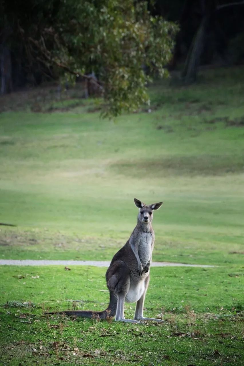 世界一生必去的56个最美的地方,一生必去五十个最美的地方
