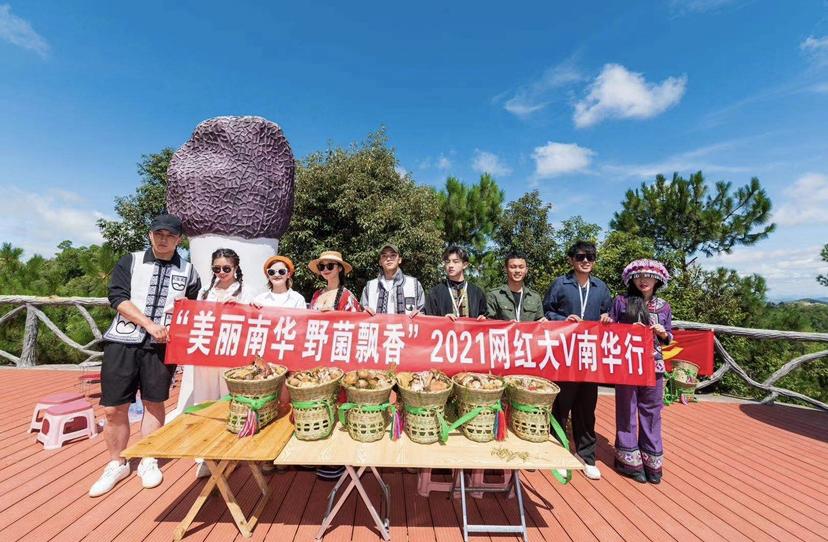 菌乡南华,野生菌之乡南华