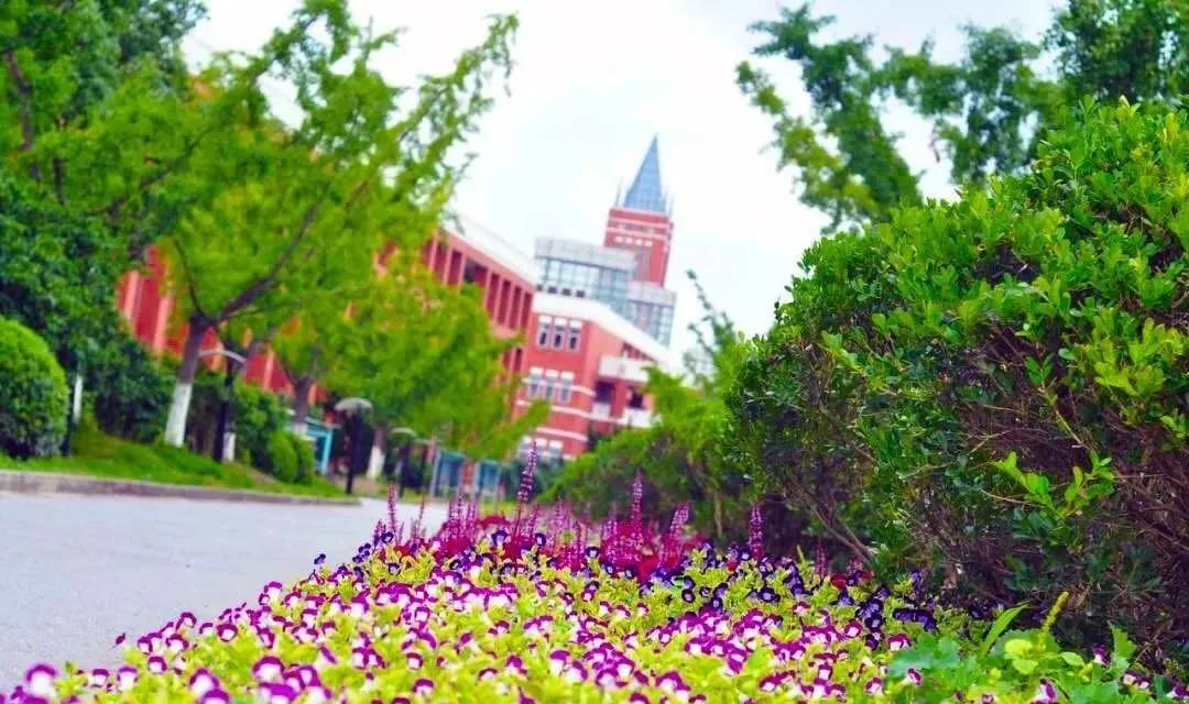 上海这16所学校成全国示范,上海即将改名的5所大学