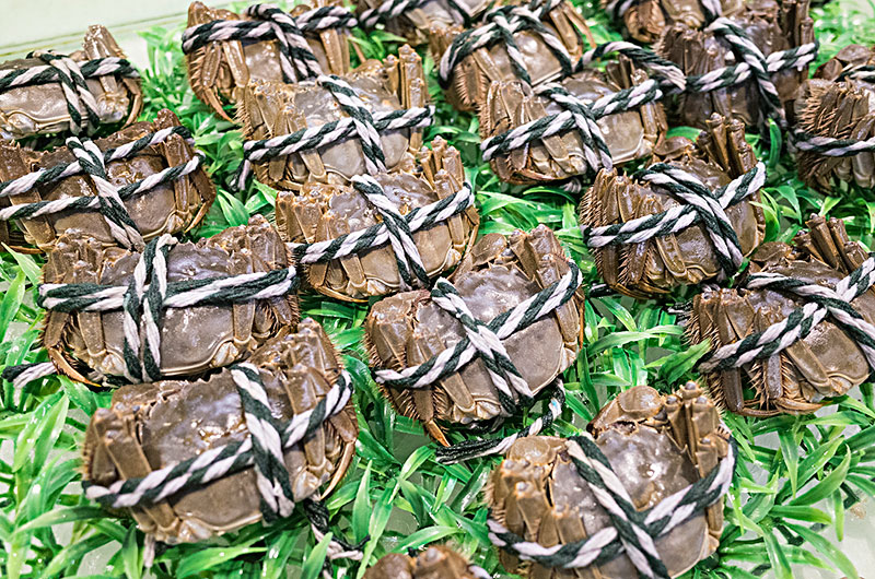 蟹稻共养丰收,蟹稻共生