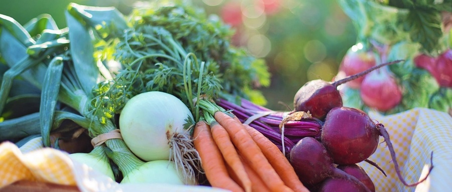 特色农业拓展致富路线,全国各地发展农业的优势条件