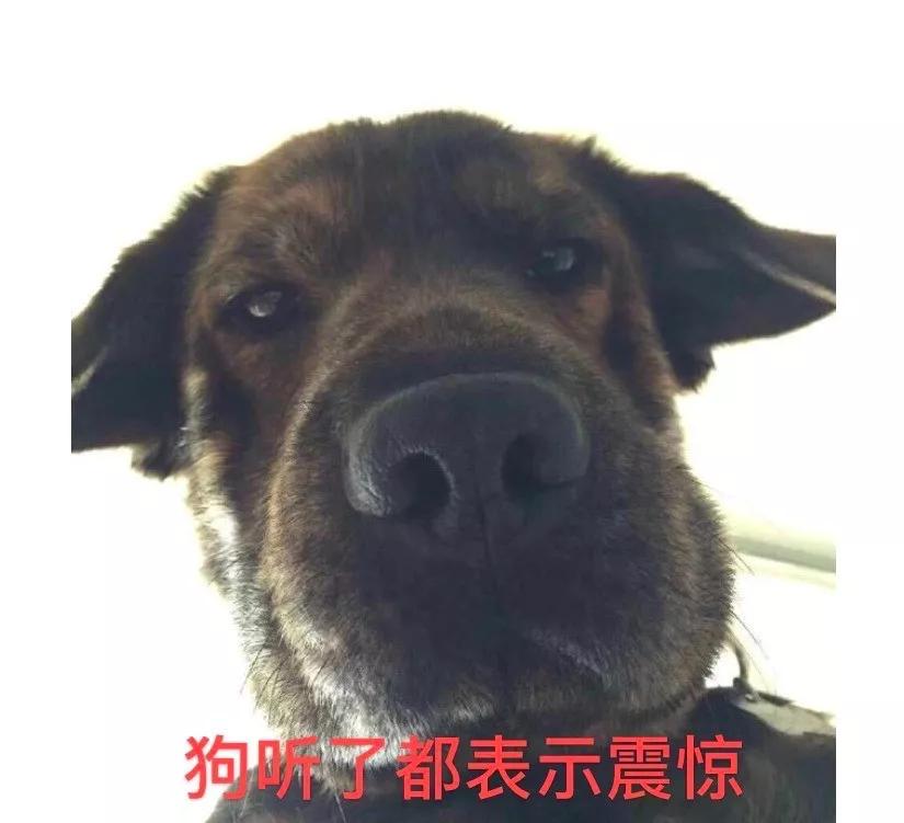 中国足球好笑总结,关于足球的段子或梗