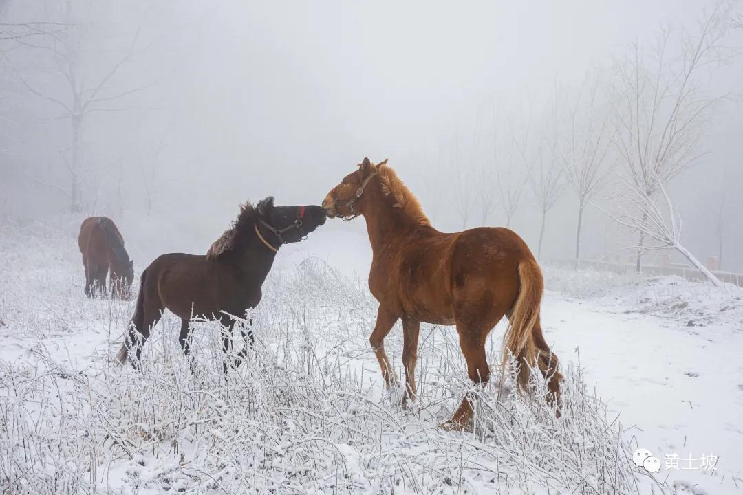 刘小元,刘小元湘潭