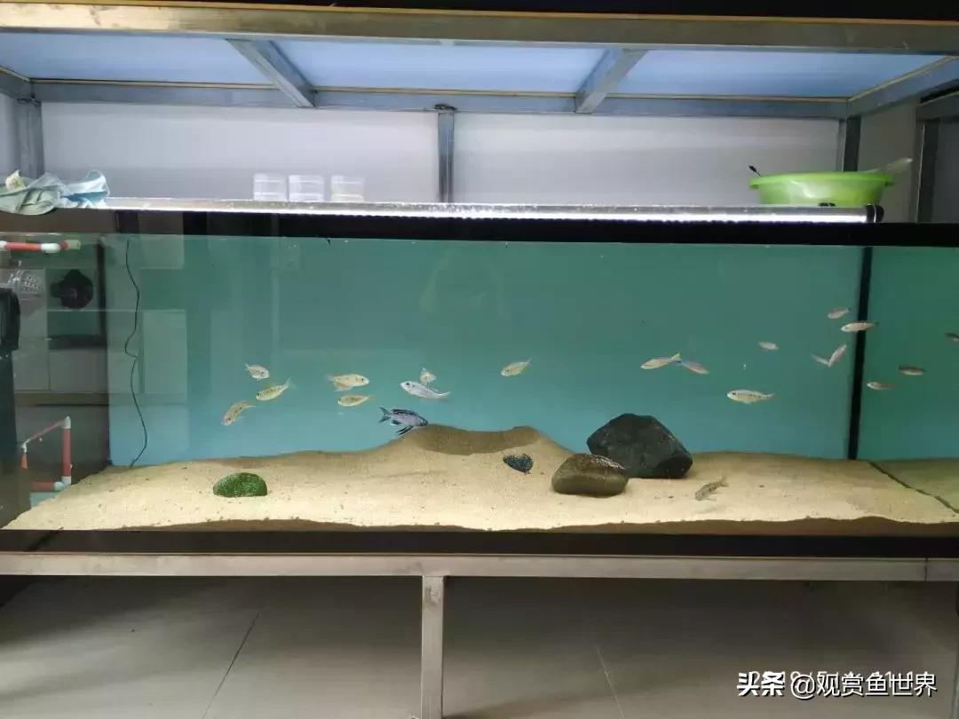 梦想的三湖世界持续建设中……方位:中国天津