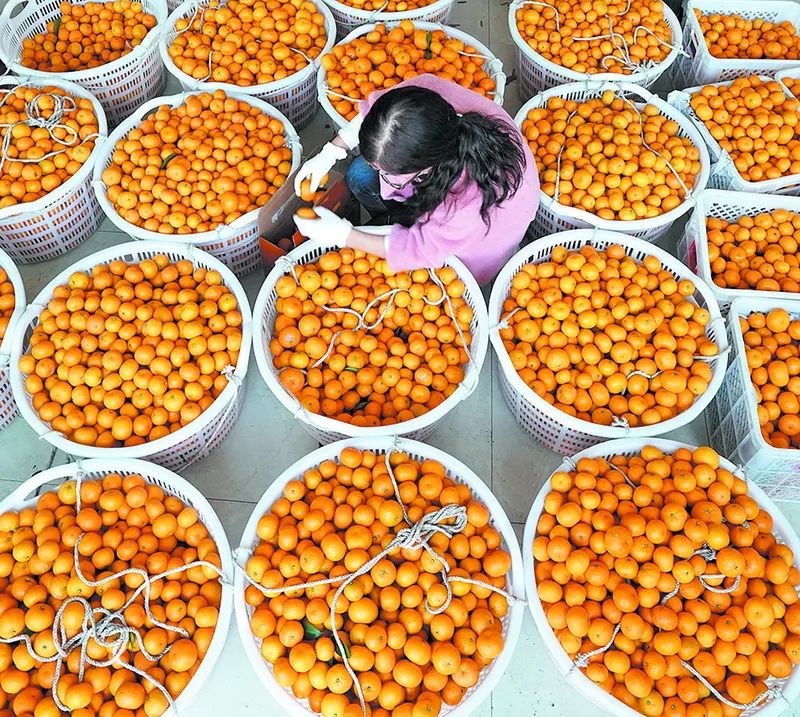 醉美拍照,醉美街景随拍