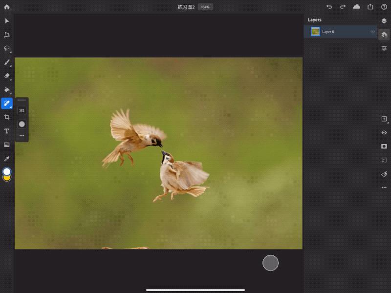 ipad版ps是什么,ipad版ps和电脑版区别