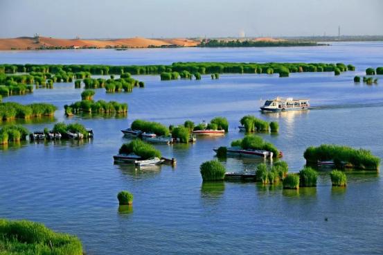 内蒙古阿拉善沙漠试驾全新奇骏,林燃后续完整版