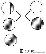 小学奥数经典题型带真人讲解,小学奥数解题技巧大全合集