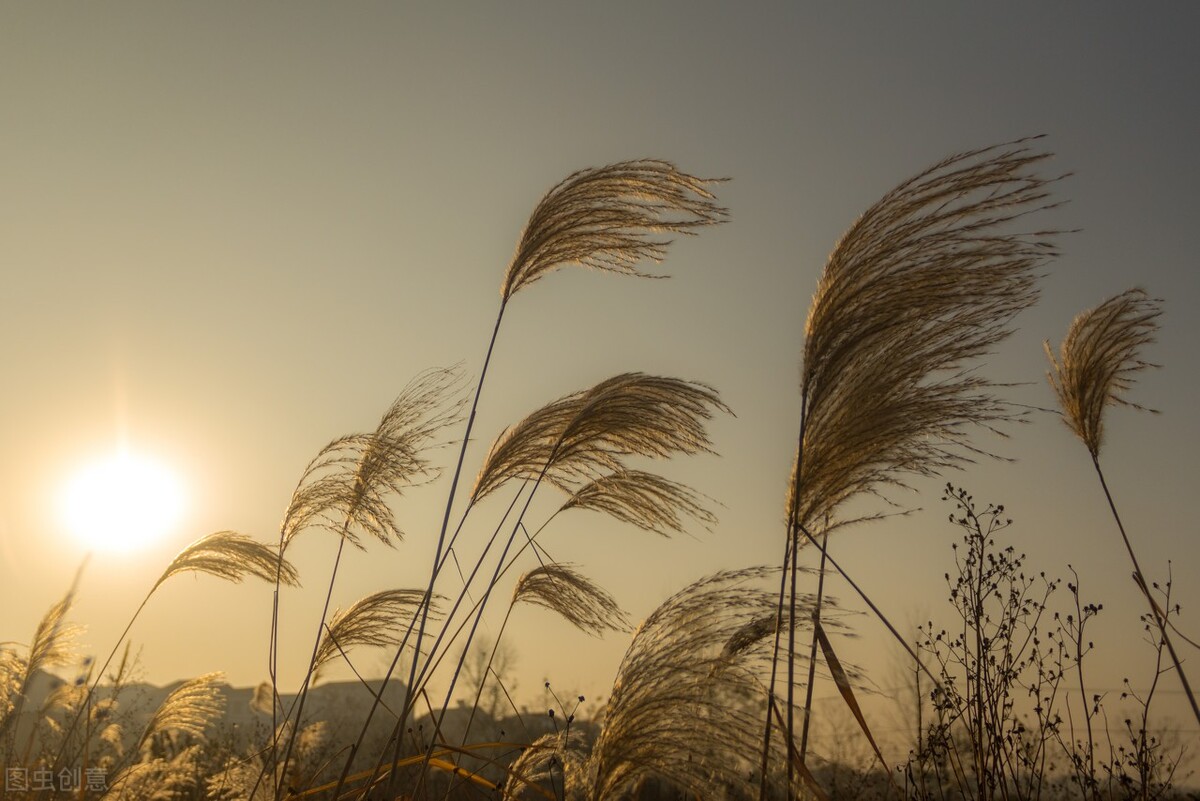 畏寒怕冷疏肝健脾,肝郁化火怕冷