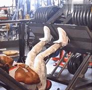 练腿为啥能促睾,为什么练腿可以促睾